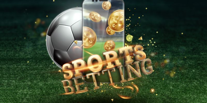 Thông tin World Cup 2026 còn được quan tâm mạnh mẽ